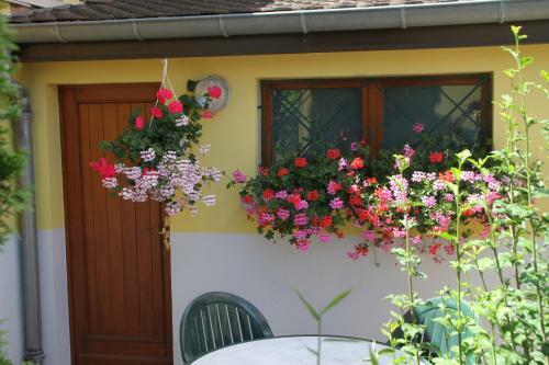Apartamento Alsace Campagne Prox Colmar Jardin Piste Cyclable