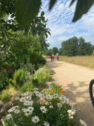 Apartamento Alsace Campagne Prox Colmar Jardin Piste Cyclable