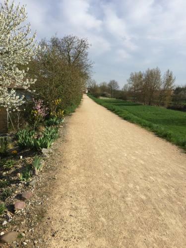 Apartamento Alsace Campagne Prox Colmar Jardin Piste Cyclable