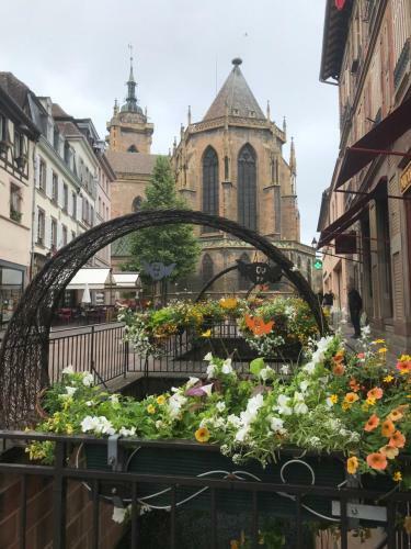 Apartamento Alsace Campagne Prox Colmar Jardin Piste Cyclable