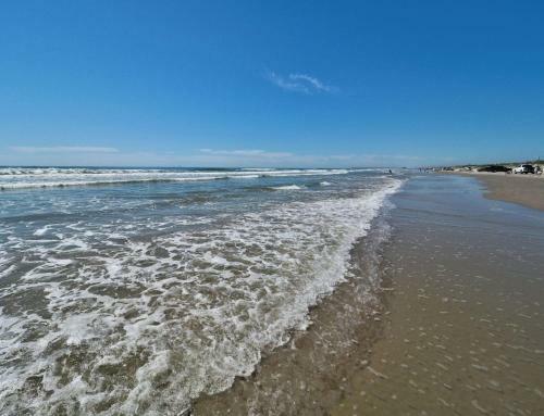 Turtle Bay Cbc281k By Padre Escapes