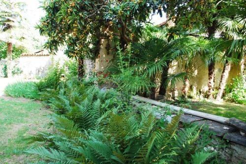 Bed & Breakfast Villa Palmitia