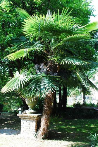 Bed & Breakfast Villa Palmitia