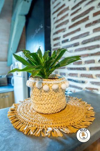 Apartamento Charmant Studio Centre Historique