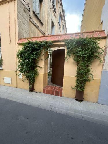 Apartamento Appartement Cosy Perpignan Centre - Gare