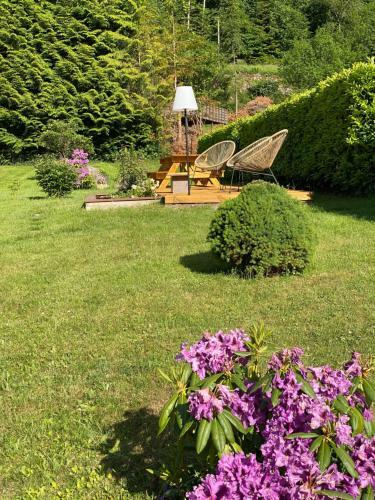 G�te Chalet 11 Personnes Hautes Vosges