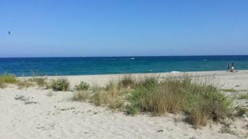 Apartamento Studio 3places Jardin 300m Plage Argel�s Sur Mer