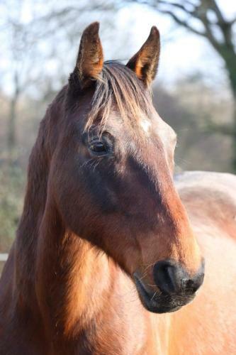 G�te � La Ferme En Pleine Nature