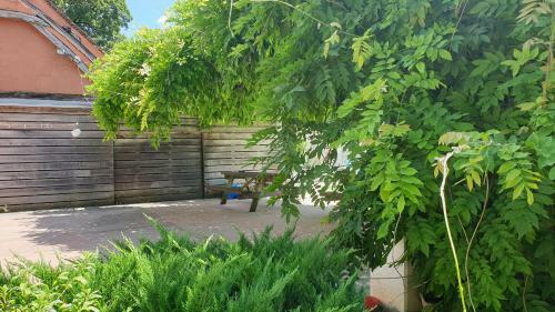 Apartamento De Passage Chez Lili