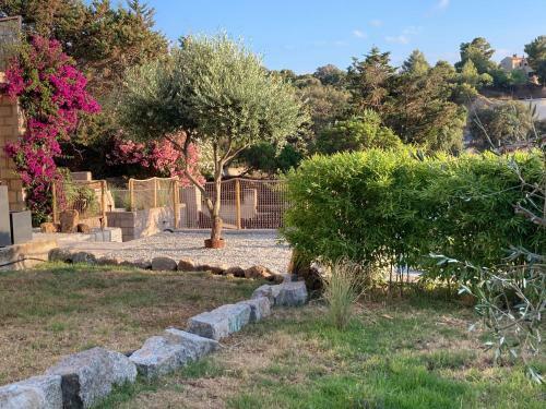 Hostal Casa Santa Giulia Propriano