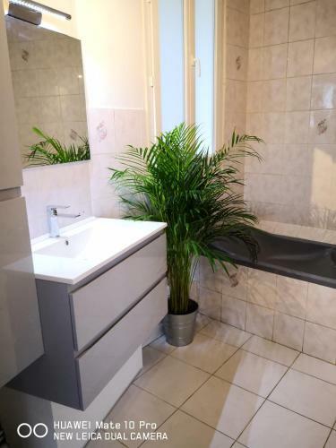 Apartamento Charmant Appartement Ancien