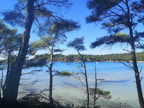 Villa de Charme Avec Piscine En Plein C?ur Du Var