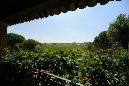 Hostal Maison D�h�tes Le Mas Des Vignes