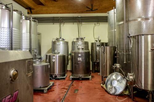 Agroturismo Agriturismo E Cantina La Sabbiona