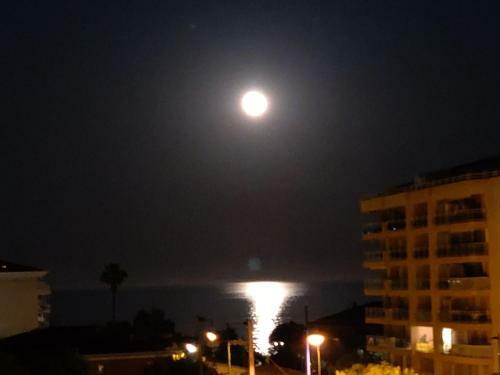 Apartamento Beau 2p Spacieux Proche Plage Et Toutes Commodit�s