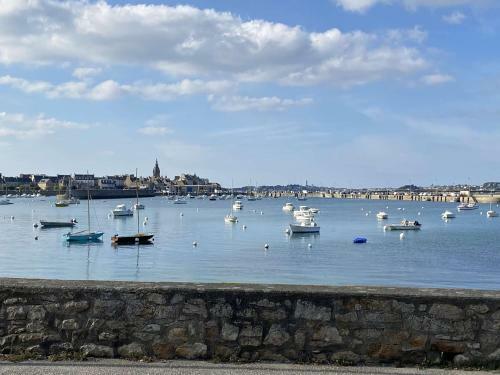 Apartamento Studio Roscoff, 1 Pi�ce, 4 Personnes - Fr-1-625-36