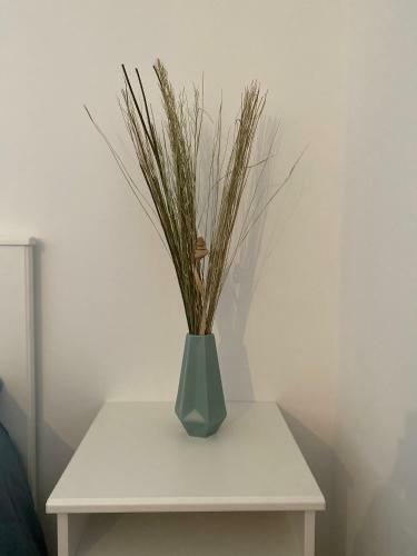 Apartamento Studio Saint Cyprien