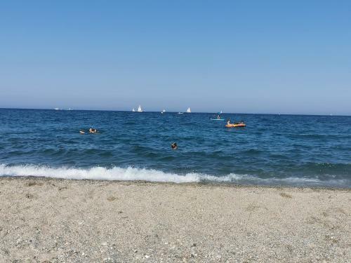 Apartamento Superbe Appartement � La Plage Pieds Dans L'eau