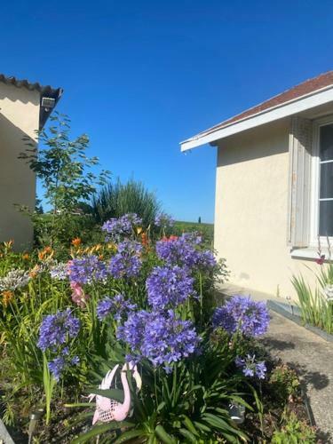 Le Jardin De Vignobles Fabris