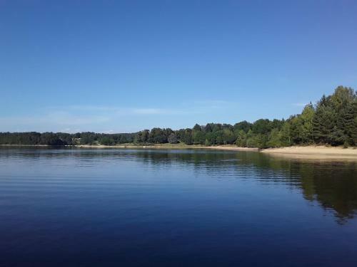 Agroturismo Cabanes Dans Les Arbres Du Lac