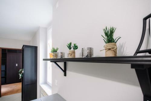 Apartamento Le Zenith - Calme Et Spacieux