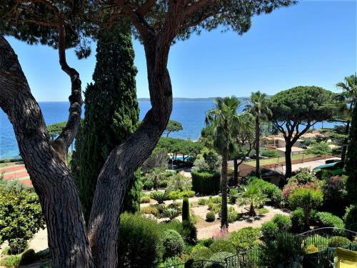 Apartamento La Madrague