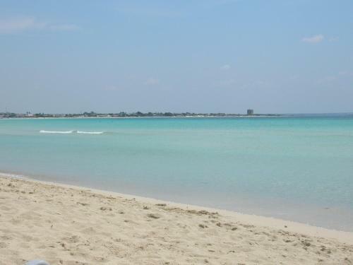 Agroturismo Agriturismo Il Pavone