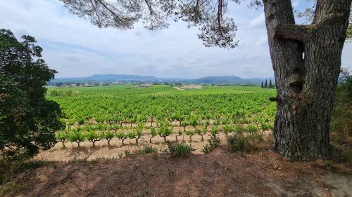 Les 2 Mazets Proven�aux