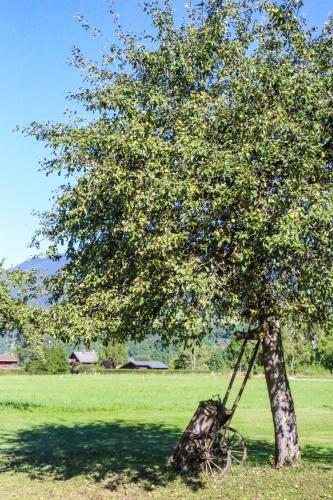 Apartamento Truemanalp - Gooseberry
