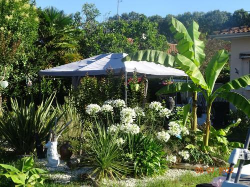 Apartamento La Datcha