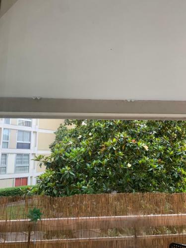 Apartamento Appartement Cosy