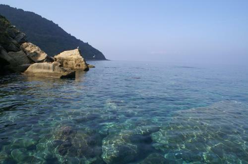 B&B Il Girasole