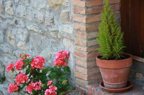 Apartamento Borgo Fango