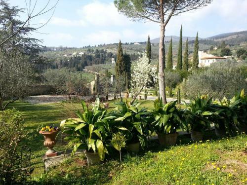Bed & Breakfast Ulivi Di Castello
