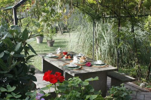 Bed & Breakfast Ulivi Di Castello