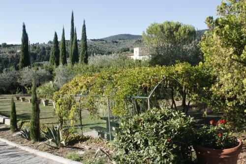 Bed & Breakfast Ulivi Di Castello