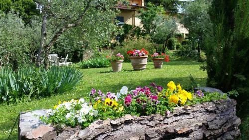 Bed & Breakfast Ulivi Di Castello