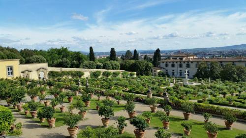 Bed & Breakfast Ulivi Di Castello
