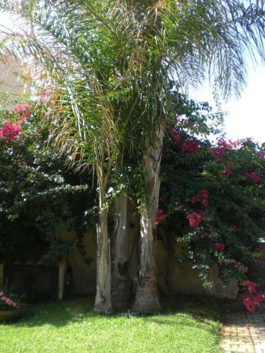 Holiday Home Villa Solare