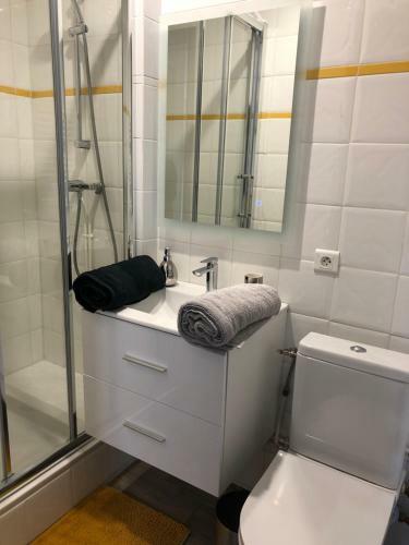 Apartamento Charmant T2 Dans �crin de Nature Font Romeu Centre