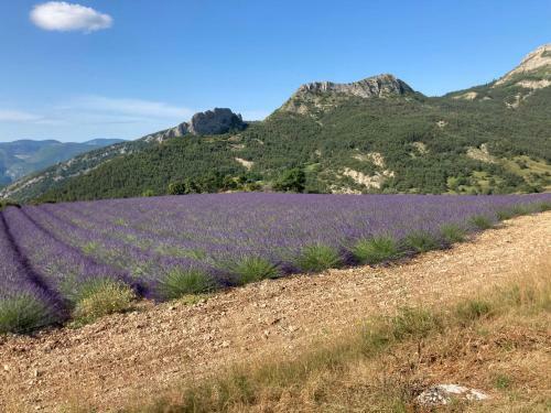 Apartamento Essentiel Barret