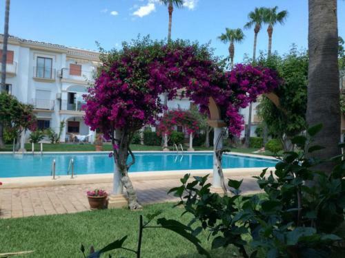 Apartamento Ricky�s Village El Patio