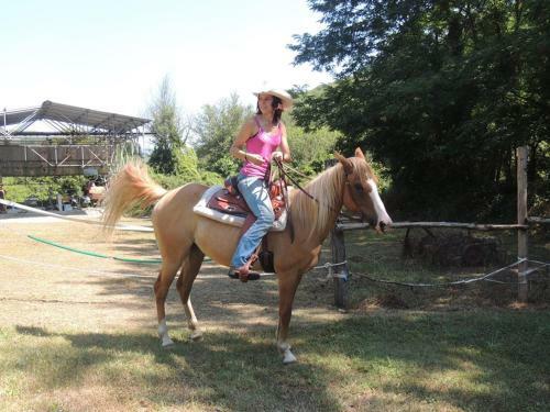 Bed & Breakfast Locanda Di Alberi
