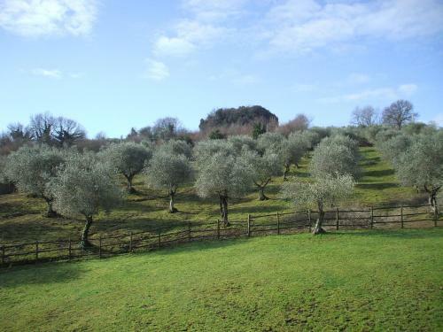 Bed & Breakfast La Filagna Country House