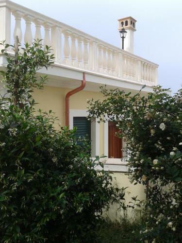 Villa Elisa B&B