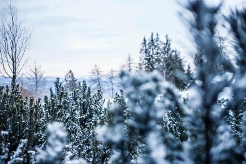 Hotel Vigilius Mountain Resort
