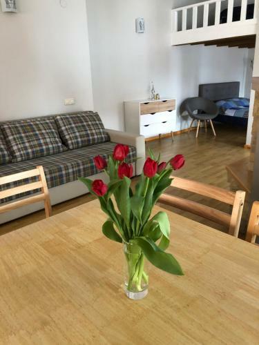 Laima Apartment