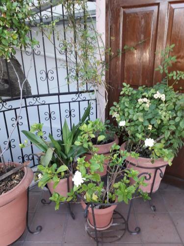 Apartamento Nelly?s House