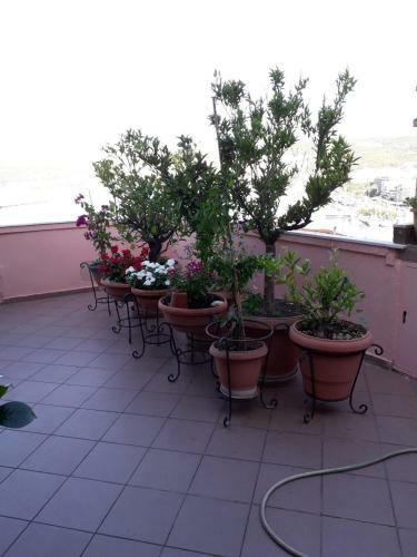Apartamento Nelly?s House