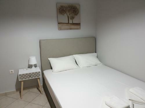 Smart Luxury Apartment